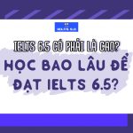❓❓❓ IELTS 6.5 có phải là cao? Mất bao lâu để đạt được 6.5 IELTS ❓❓❓