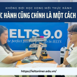 Học ngôn ngữ, thực hành cũng chính là một cách học