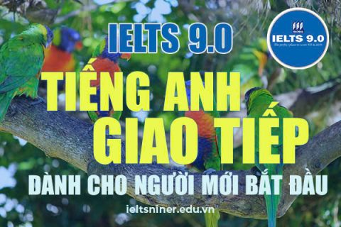 TIẾNG ANH GIAO TIẾP CHO NGƯỜI MỚI BẮT ĐẦU