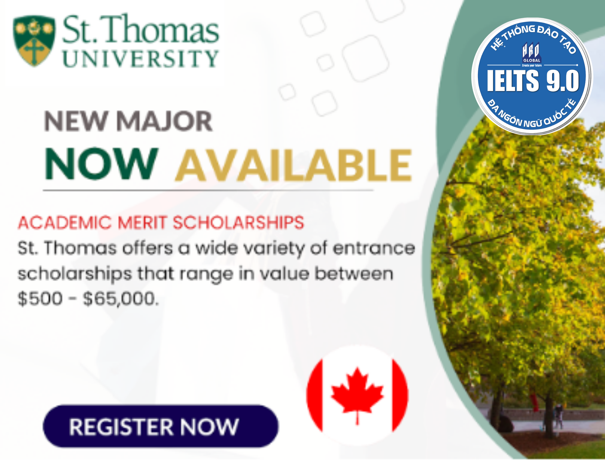St. Thomas University